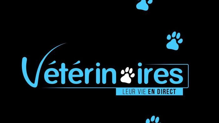 Vignette du programme télé Vétérinaires, leur vie en direct