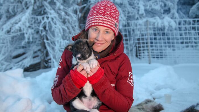 Vignette du programme télé Huskies, top départ !