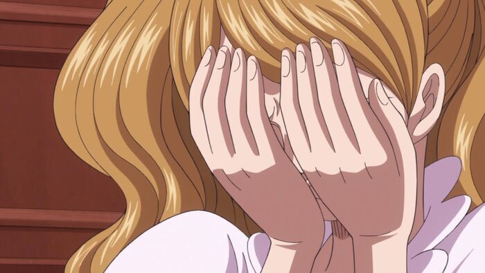 Vignette du programme télé One Piece