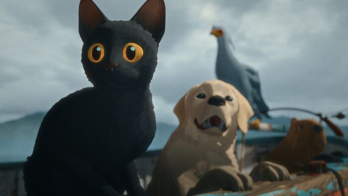 Vignette du programme télé Flow, le chat qui n'avait plus peur de l'eau