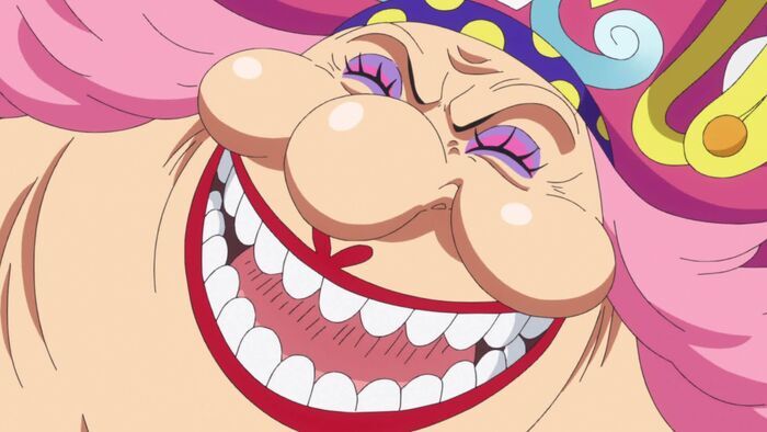 Vignette du programme télé One Piece