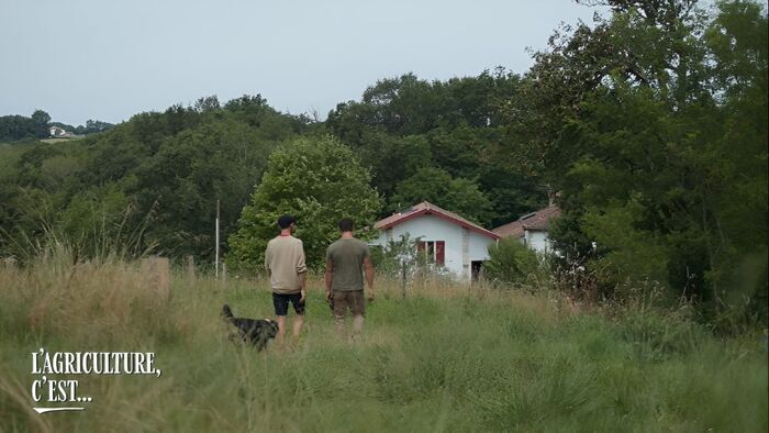 Vignette du programme télé L'agriculture, c'est reparti