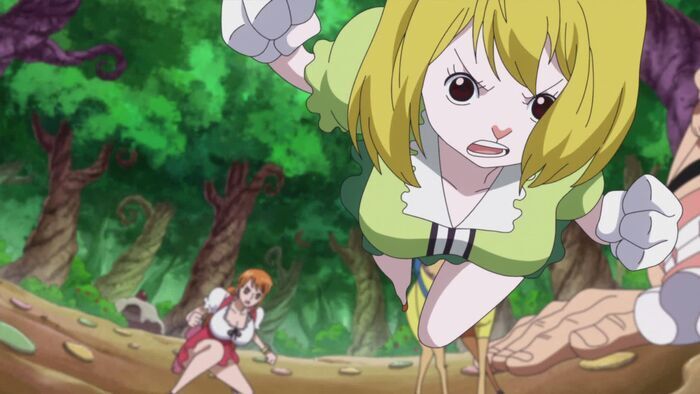 Vignette du programme télé One Piece
