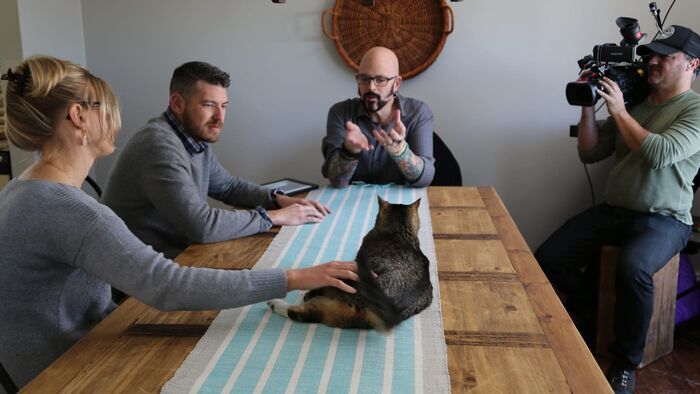 Vignette du programme télé Hell's Cat : mon chat est un cauchemar