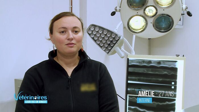 Vignette du programme télé Vétérinaires, leur vie en direct