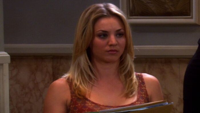Vignette du programme télé The Big Bang Theory