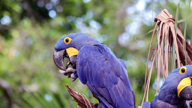 Vignette du programme télé Merveilles de la nature - Saison 1