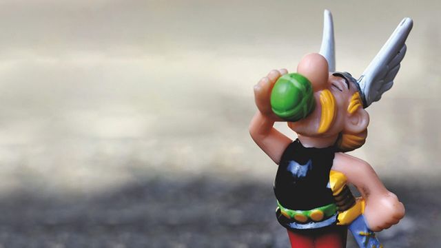 Vignette du programme télé Les coulisses du parc Astérix