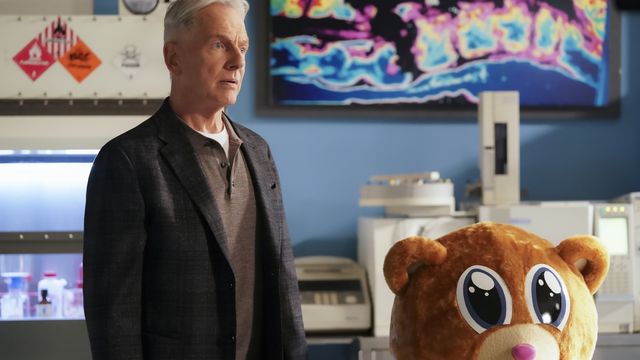 Vignette du programme télé NCIS - Saison 17