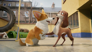 Vignette du programme télé Royal Corgi