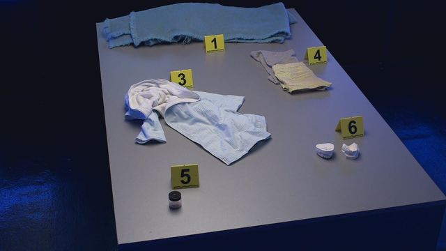 Vignette du programme télé Indices
