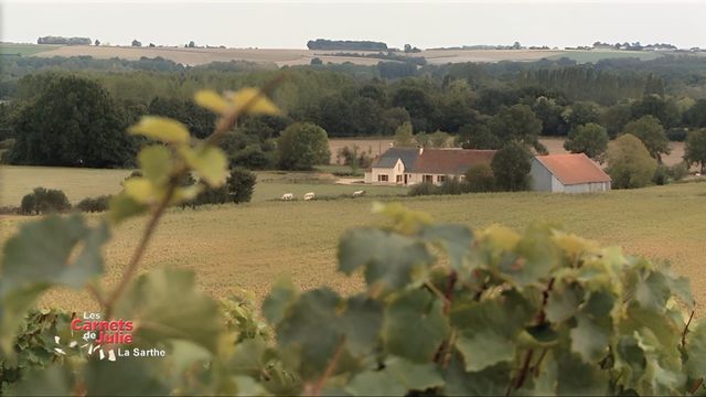 Vignette du programme télé Les carnets de Julie