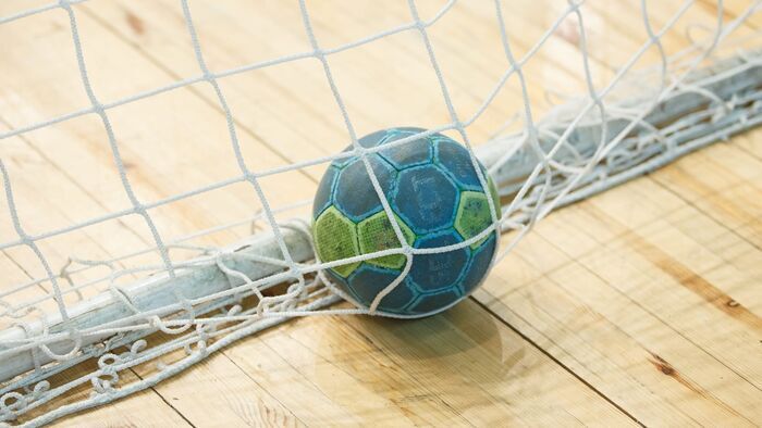 Vignette du programme télé Handball : Match amical féminin