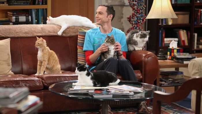 Vignette du programme télé The Big Bang Theory
