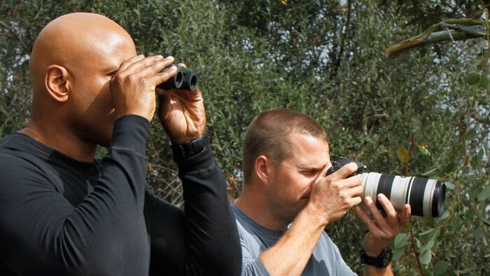Vignette du programme télé NCIS : Los Angeles