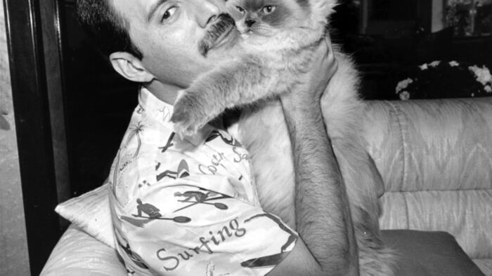 Vignette du programme télé Freddie Mercury : The Great Pretender