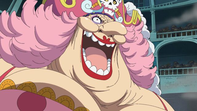 Vignette du programme télé One Piece