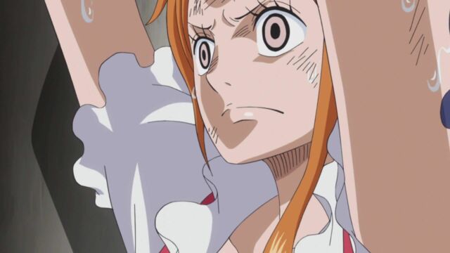 Vignette du programme télé One Piece