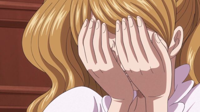 Vignette du programme télé One Piece