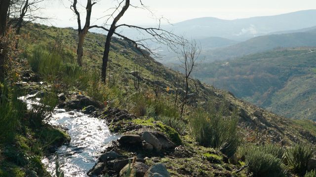 Vignette du programme télé Les promesses de la terre - Saison 1