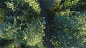 Vignette du programme télé Les dossiers Cold Case (Des os dans les bois) S2 (22/27)