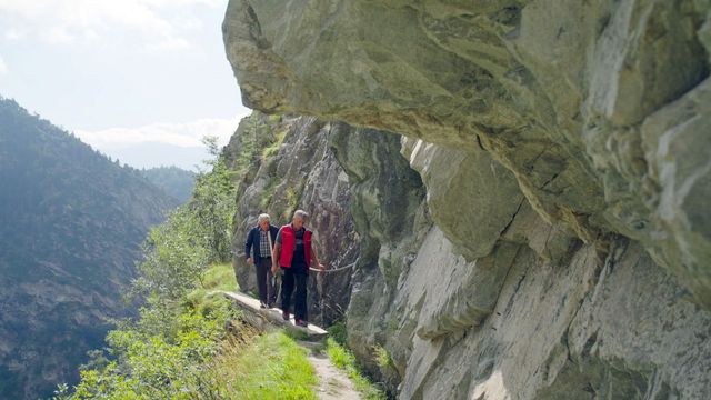 Vignette du programme télé La Suisse sauvage - Saison 1