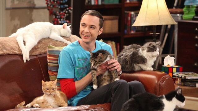 Vignette du programme télé Big Bang Theory
