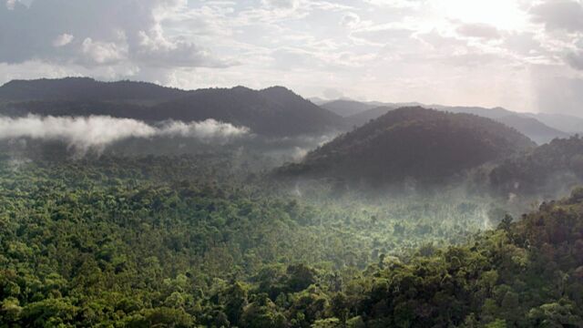Vignette du programme télé Sur la piste du jaguar au Guyana