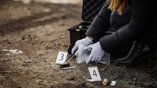 Vignette du programme télé Crimes