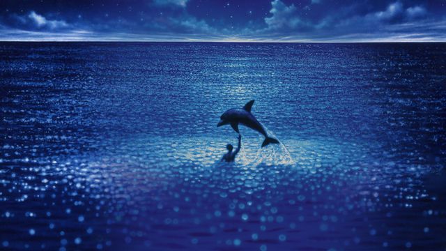 Vignette du programme télé Le grand bleu