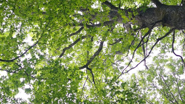 Vignette du programme télé Les promesses de la terre - Saison 1
