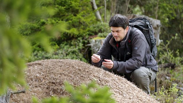 Vignette du programme télé La Suisse sauvage - Saison 1