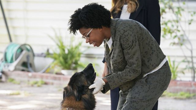 Vignette du programme télé NCIS - Saison 17