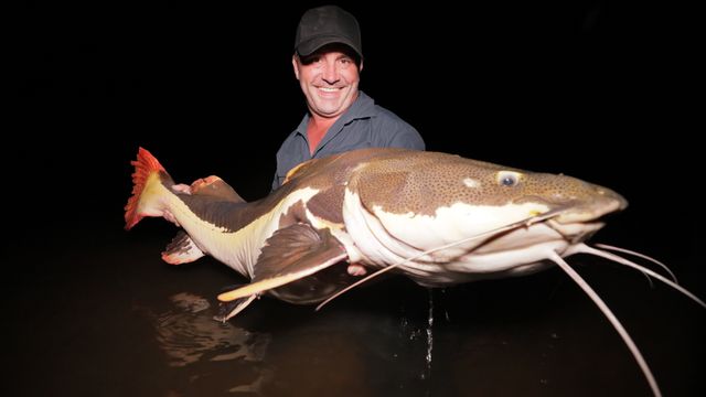 Vignette du programme télé Pêche XXL - Saison 4