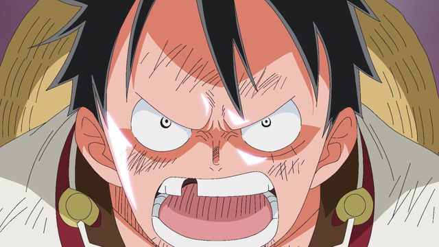 Vignette du programme télé One Piece - Saison 19