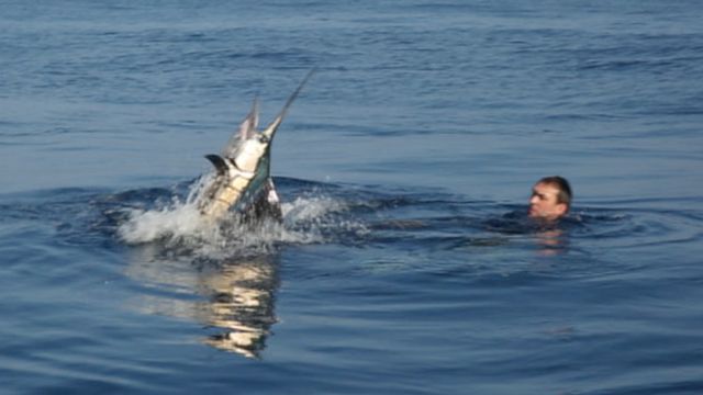 Vignette du programme télé Pêche XXL - Saison 1