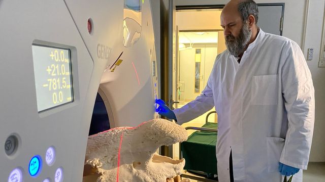 Vignette du programme télé Le mammouth, une résurrection en laboratoire ?