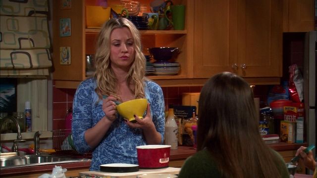 Vignette du programme télé Big Bang Theory - Saison 4