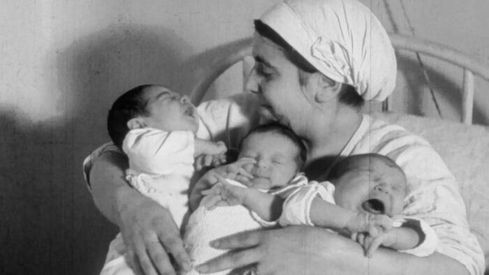 Vignette du programme télé France, la nurserie oubliée du IIIe Reich