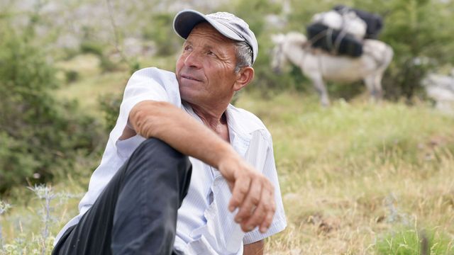 Vignette du programme télé Albanie, une vie de berger