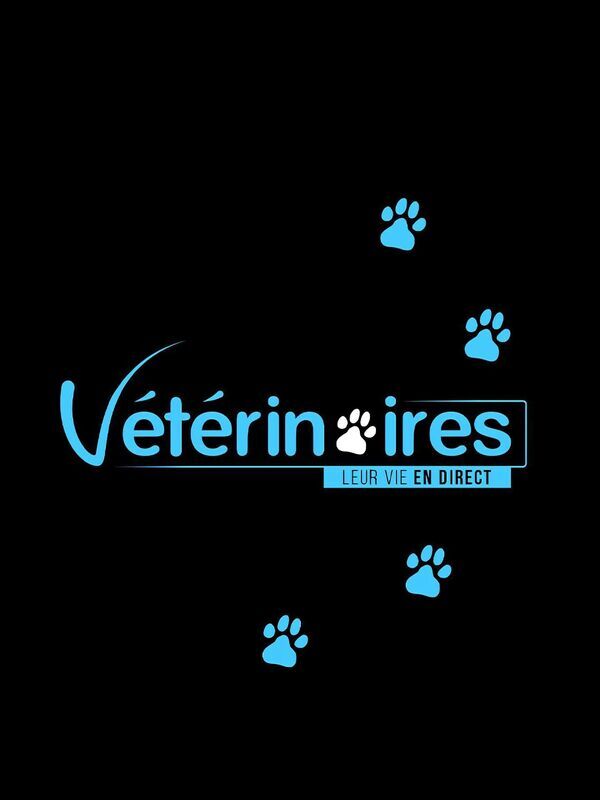 Vignette du programme télé Vétérinaires, leur vie en direct