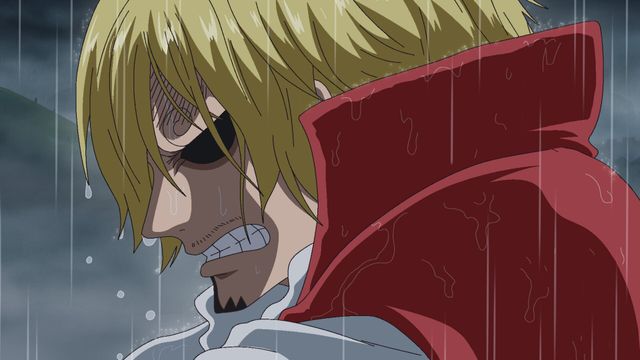 Vignette du programme télé One Piece - Saison 19