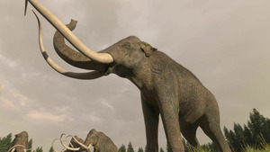 Vignette du programme télé Le monde perdu des mammouths