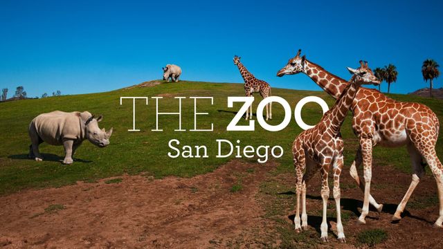 Vignette du programme télé Le Zoo de San Diego