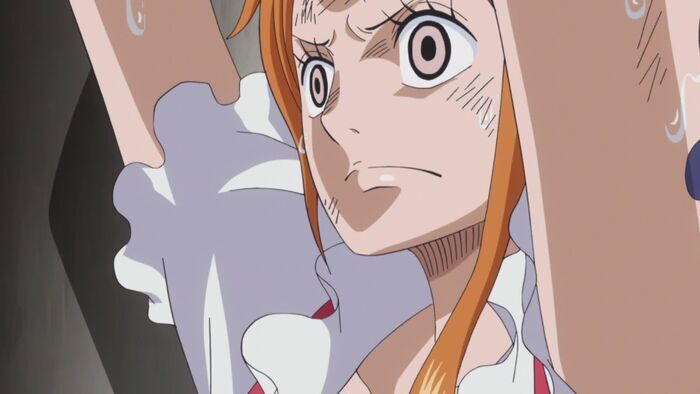 Vignette du programme télé One Piece
