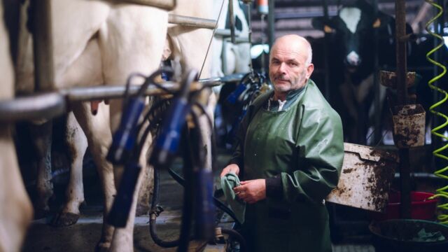Vignette du programme télé L&#039;amour est dans le pré