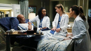Vignette du programme télé Grey's Anatomy (Dans la tourmente) S10 (10/24)