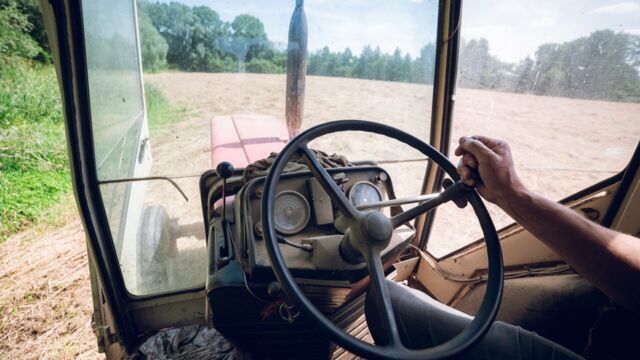 Vignette du programme télé L&#039;amour est dans le pré
