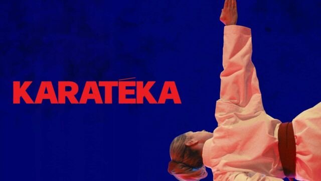 Vignette du programme télé Karateka