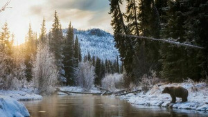 Vignette du programme télé Le Yukon, fleuve glacé d'Amérique
